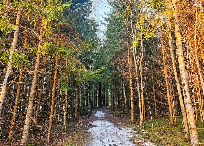 Amazing In With Wifi * Spydeberg